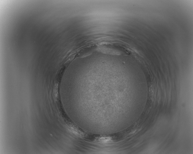 X0000066950554200604071941