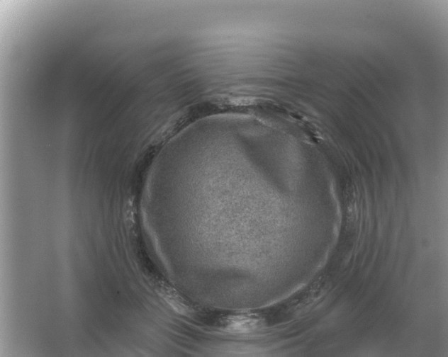 X0000066950555200604071941