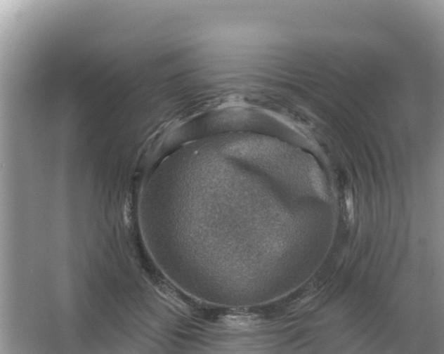 X0000066950556200604071941