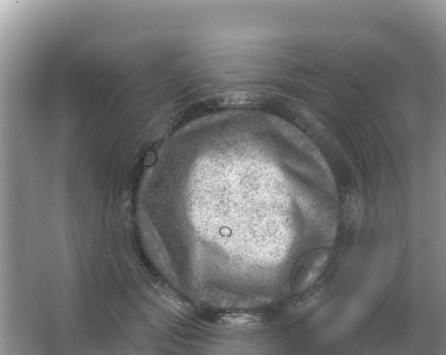 X0000066950557200604071941