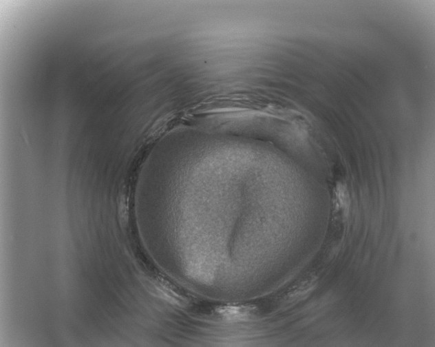 X0000066950558200604071941