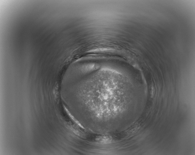 X0000066950559200604071941