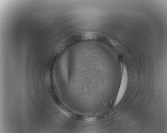 X0000066950560200604071941