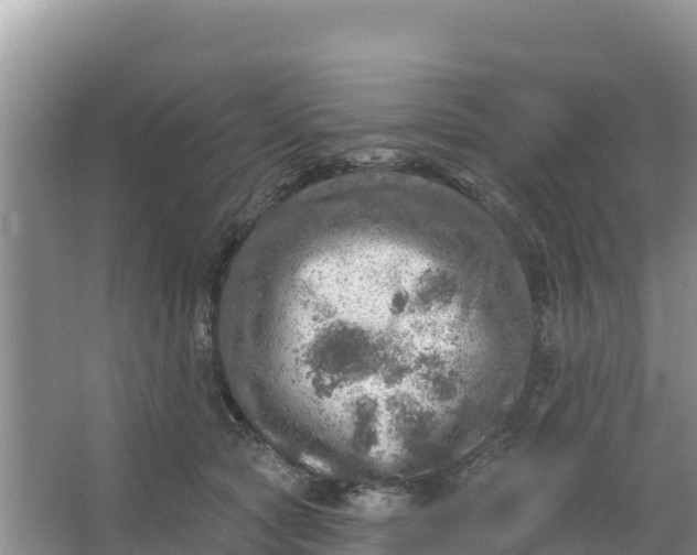 X0000066950561200604071941