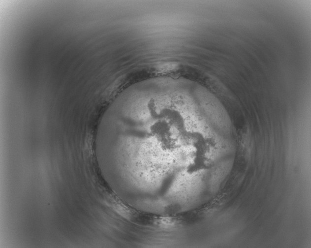 X0000066950565200604071941