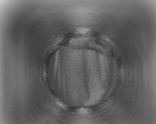 X0000066950566200604071941