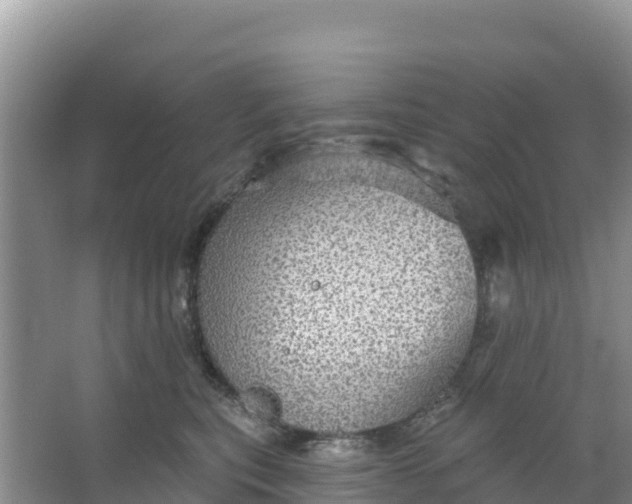 X0000066950567200604071941