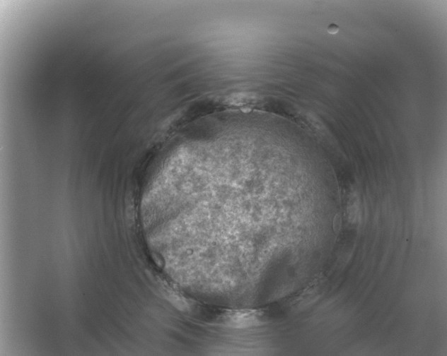 X0000066950569200604071941