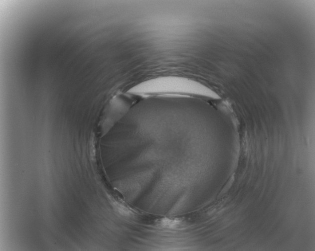 X0000066950570200604071941