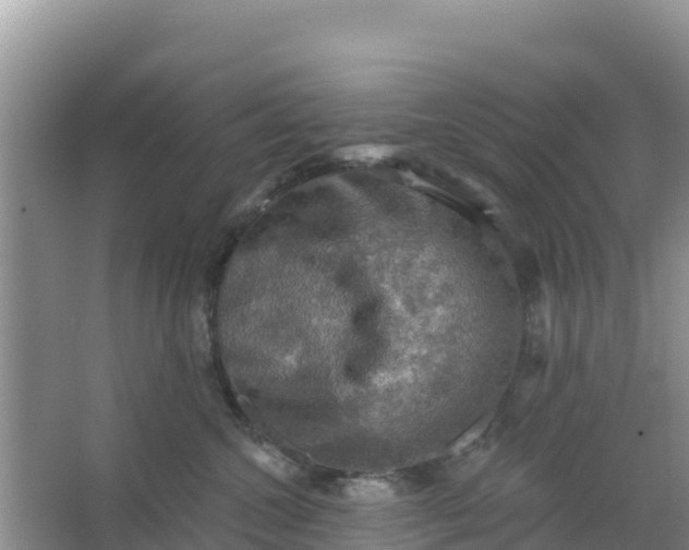 X0000066950572200604071941