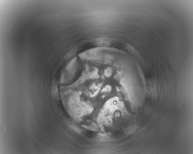 X0000066950573200604071941