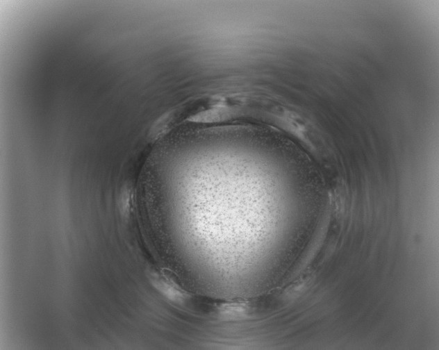 X0000066950574200604071941