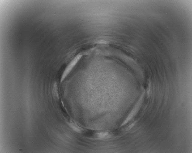 X0000066950575200604071941