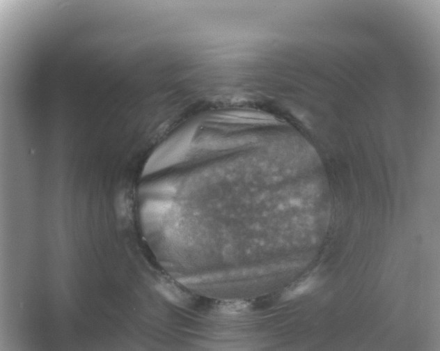 X0000066950576200604071941