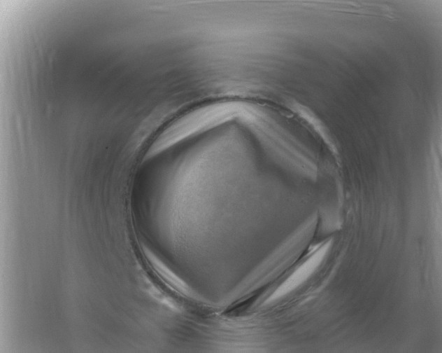 X0000066950577200604071941