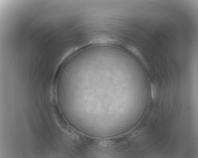 X0000066950579200604071941