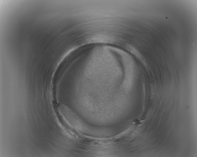 X0000066950580200604071941