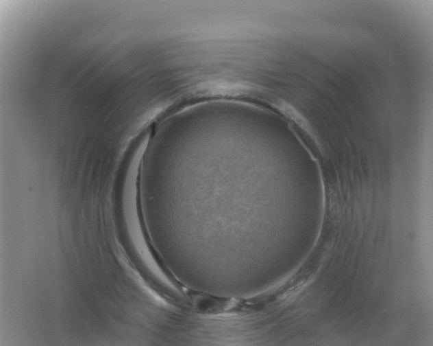 X0000066950581200604071941