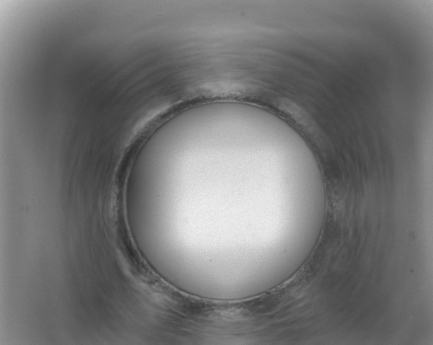 X0000066950583200604071941