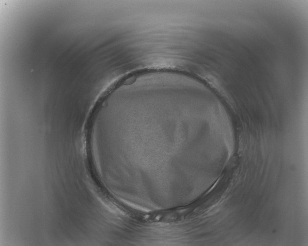 X0000066950584200604071940