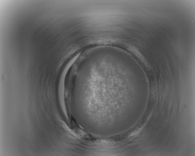 X0000066950585200604071940