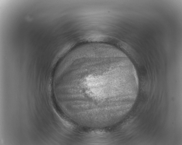 X0000066950586200604071940