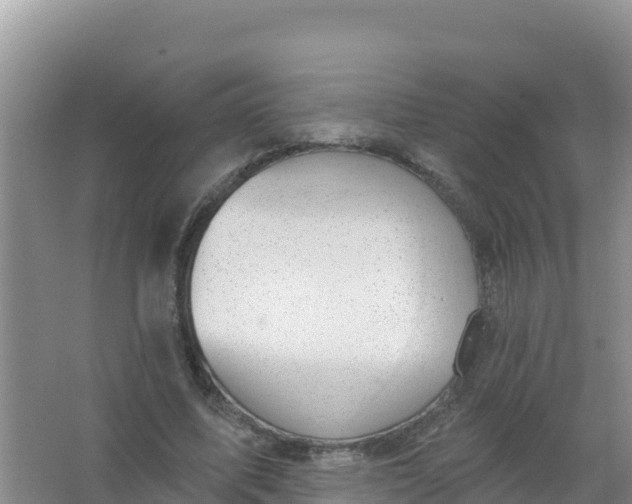 X0000066950587200604071940