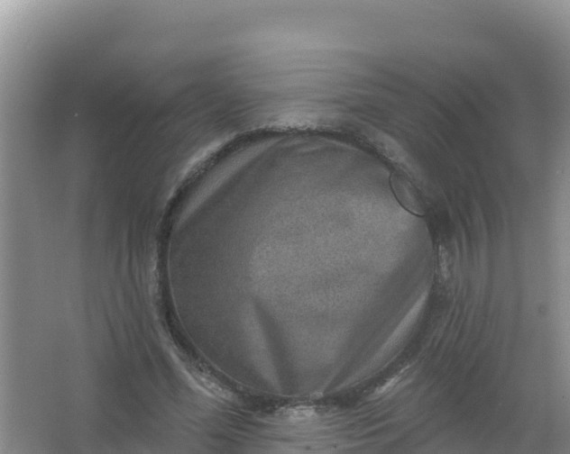 X0000066950588200604071940