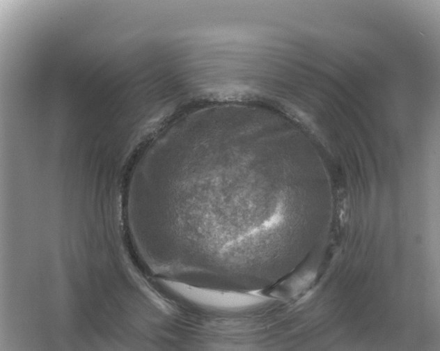 X0000066950589200604071940