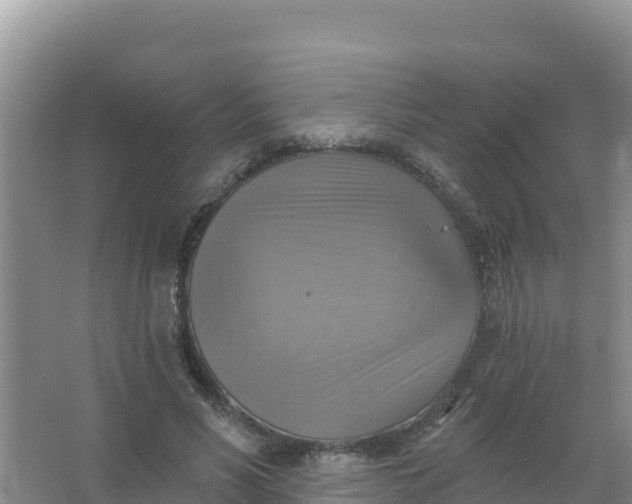 X0000066950590200604071940