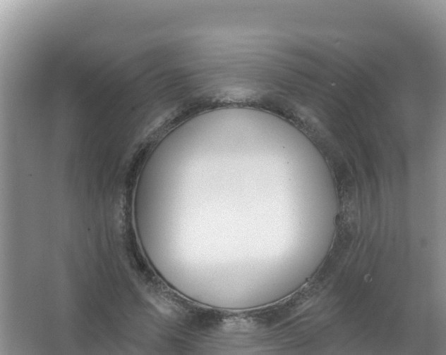 X0000066950591200604071940