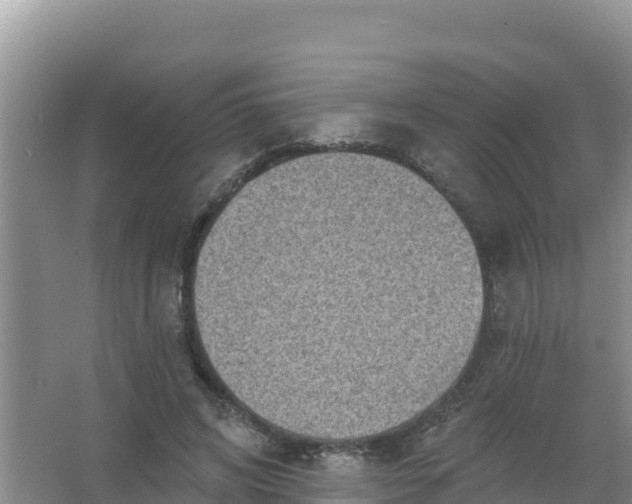 X0000066950592200604071940