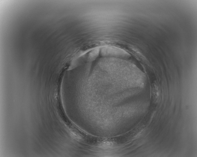 X0000066950593200604071940