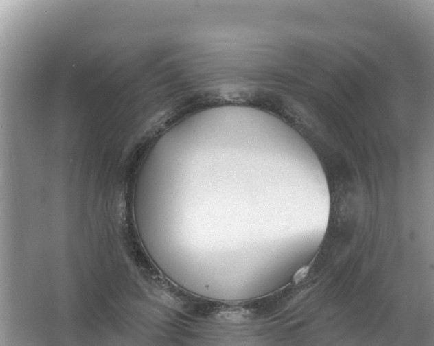 X0000066950595200604071940