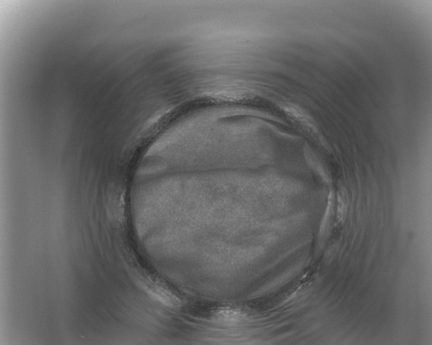 X0000066950596200604071940