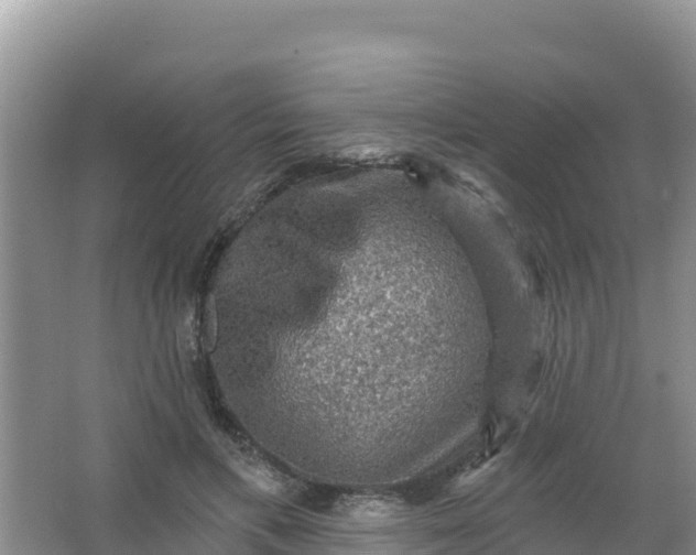 X0000066950597200604071940