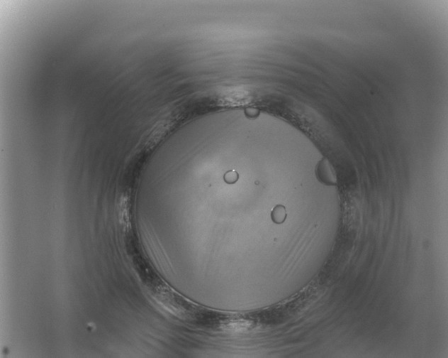 X0000066950598200604071940