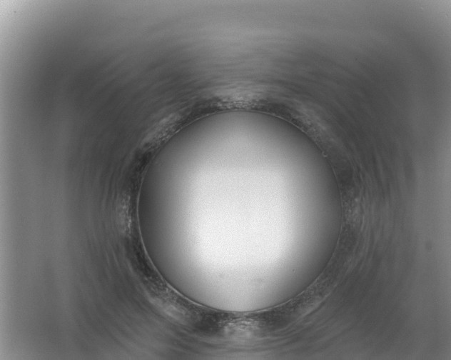 X0000066950599200604071940