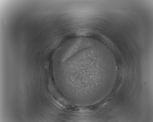 X0000066950601200604071940