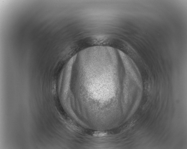 X0000066950602200604071940