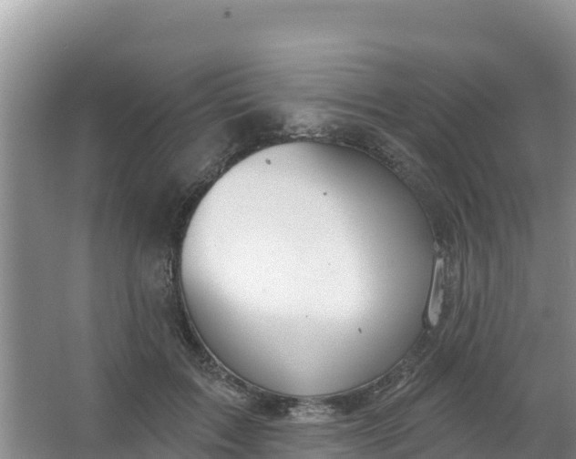 X0000066950603200604071940