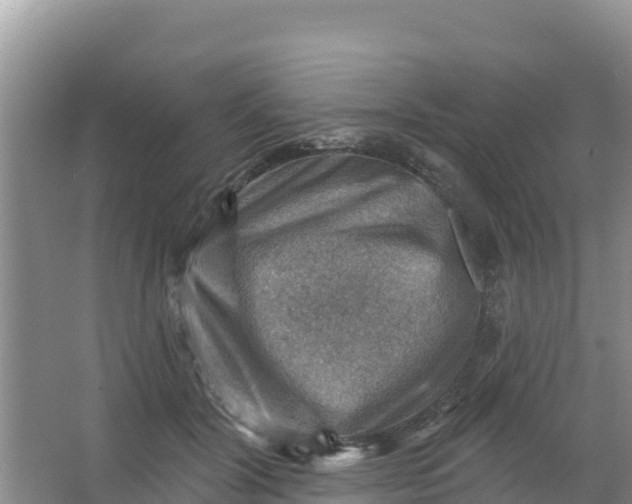 X0000066950604200604071940