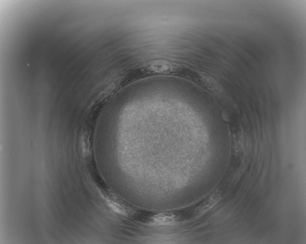 X0000066950606200604071940