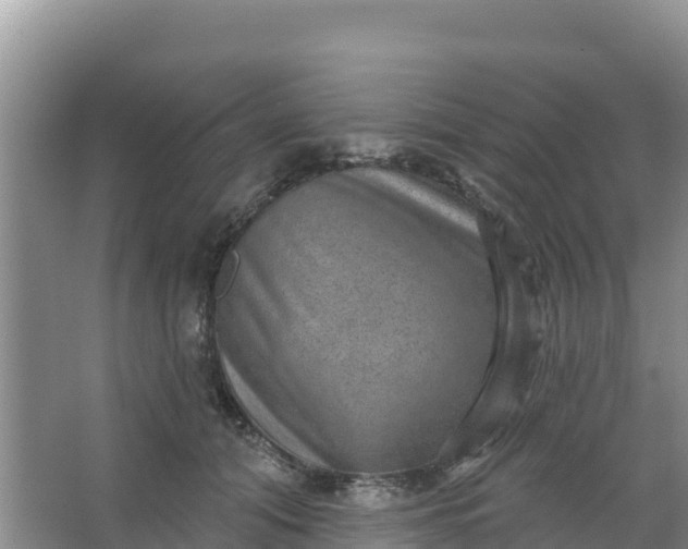 X0000066950608200604071940