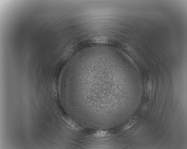 X0000066950609200604071940