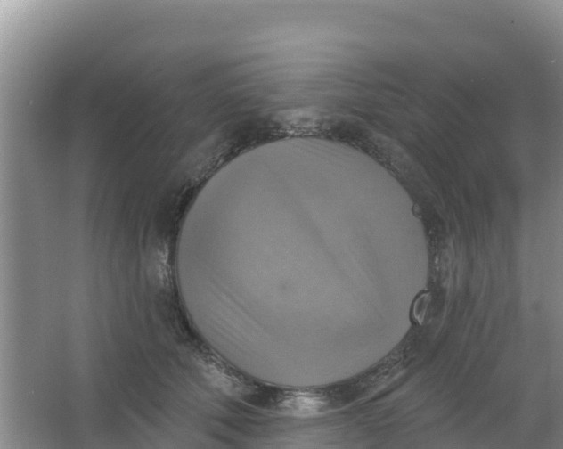 X0000066950610200604071940