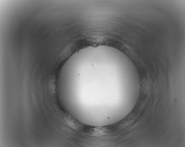 X0000066950612200604071940