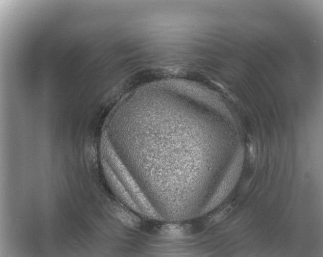 X0000066950613200604071940