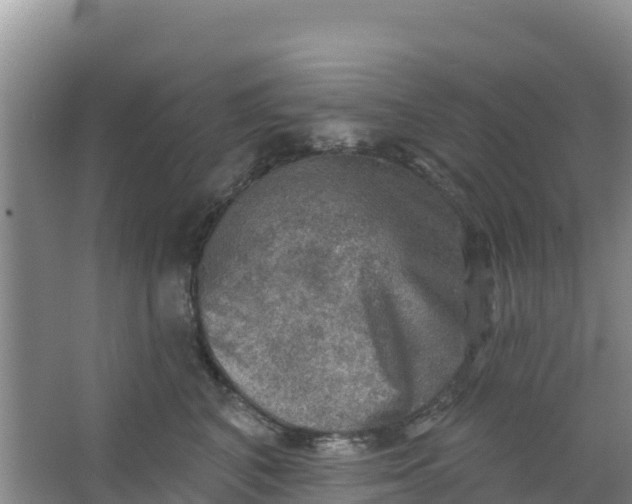 X0000066950616200604071940