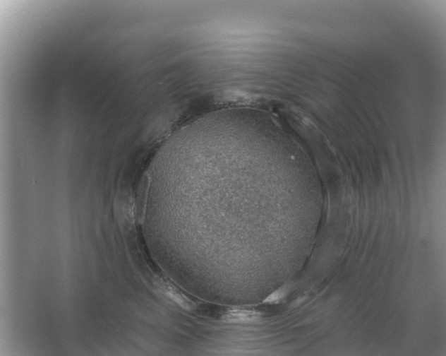 X0000066950617200604071940